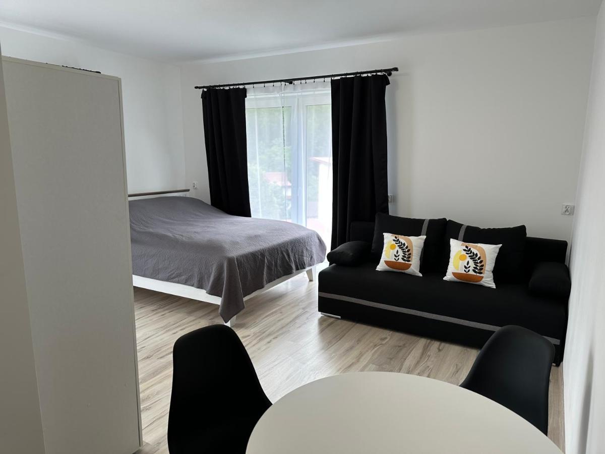 Roomflacja Wisła Esterno foto